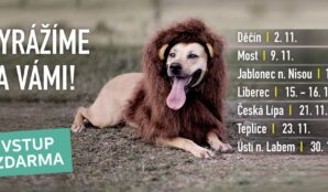 trideni_odpadu_filmy_eko_top_film_samosebou