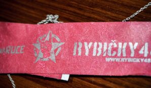 rybicky48_trideni_odpadu_koncert_samosebou