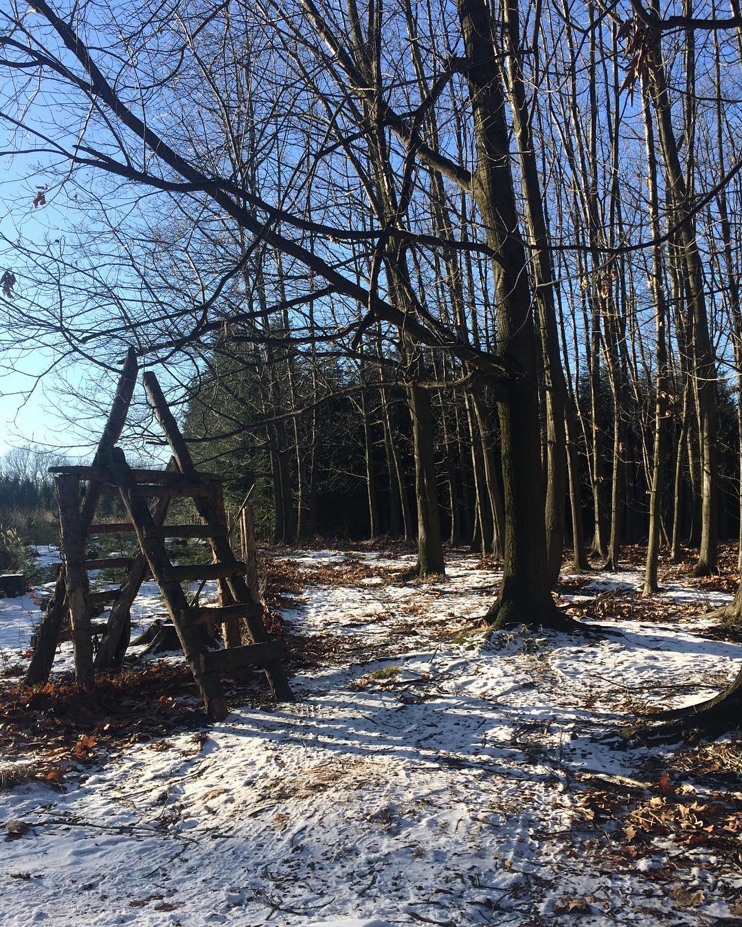 Sluníčková sobota!?☀️#walking#weekend#free#time#forest#saturday#relax#mytime#enjoy#nature#naturelover#mondaysfeelings#loveit#feelgood#alone#minds#positive#vibes#vsco#czech#sunny#day#vpoho#nostress#kaslinato#lovecokamziku#nasvemmiste#igerscz