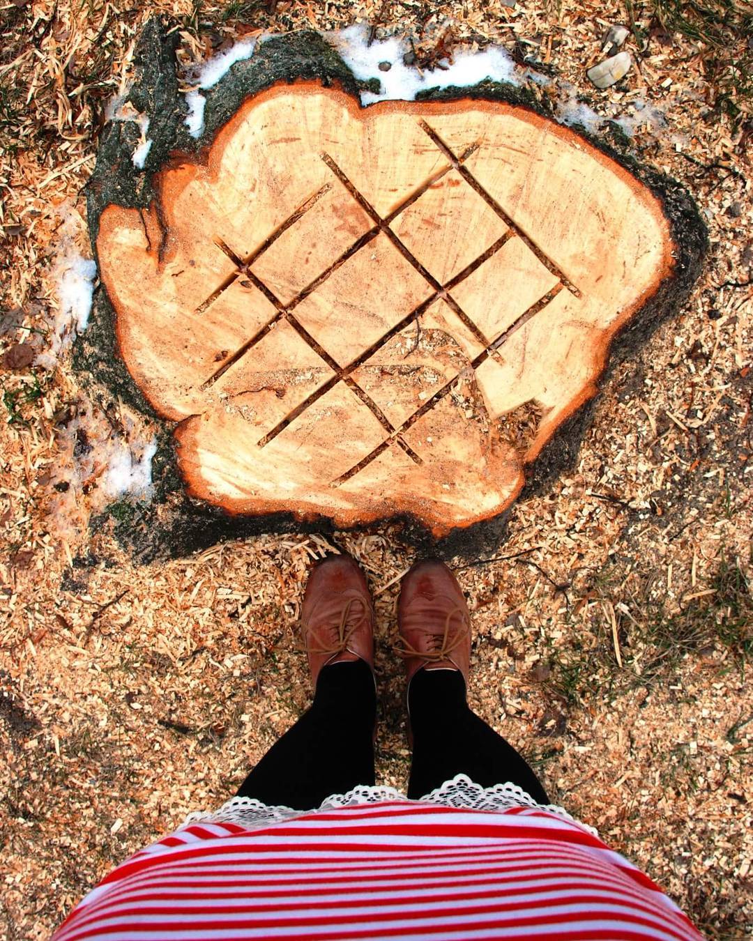 #jeducervenou #yaxitaxi #heart #tree #stripes #oxfordshoes #life #autumn #lace #nasvemmiste