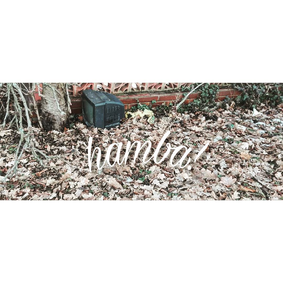 Hamba, tohle neni sberna. #tridme #prvnipost #nasvemmiste