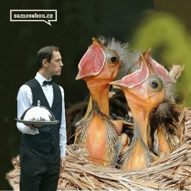 #NaSvemMiste