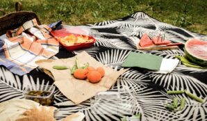 piknik_trideni_odpad_bioodpad_obal_ovoce