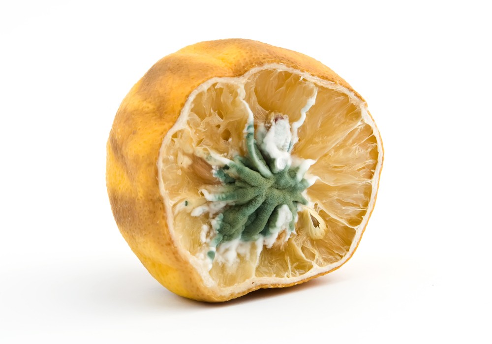 plesnivý citron