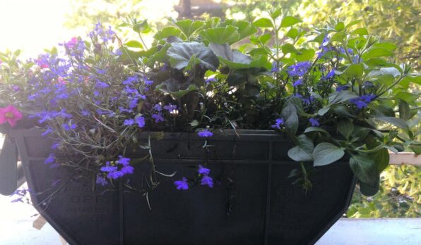 upcyklace_film_kvetinace_kancelarsky_odpad