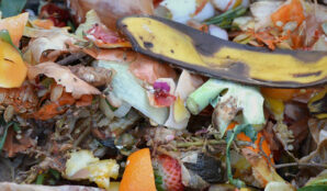 kompost_bioodpad_kompostovani_slupka_zelenina