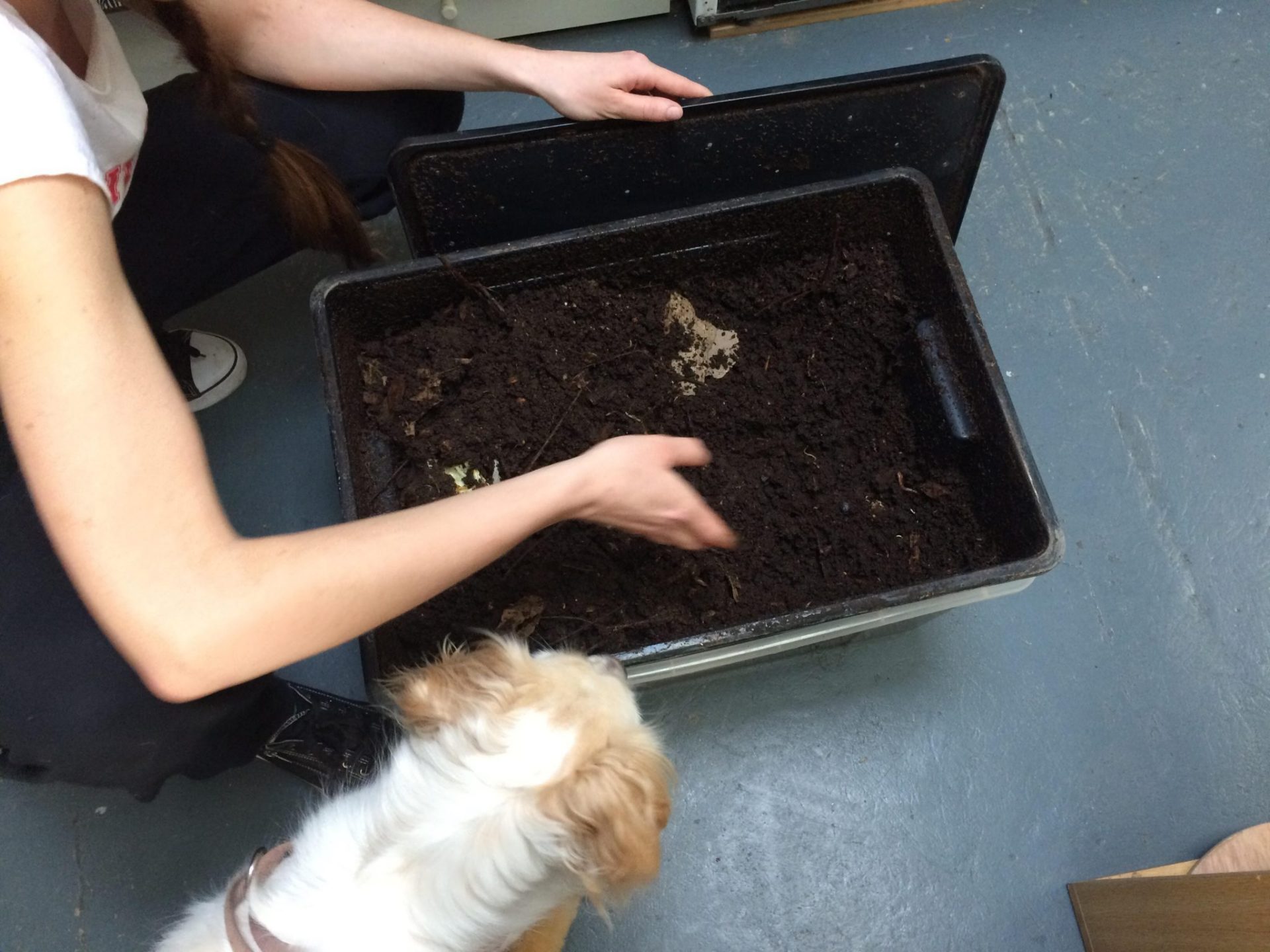 domaci_komposter_kompost_vermikomposter_kompostovani