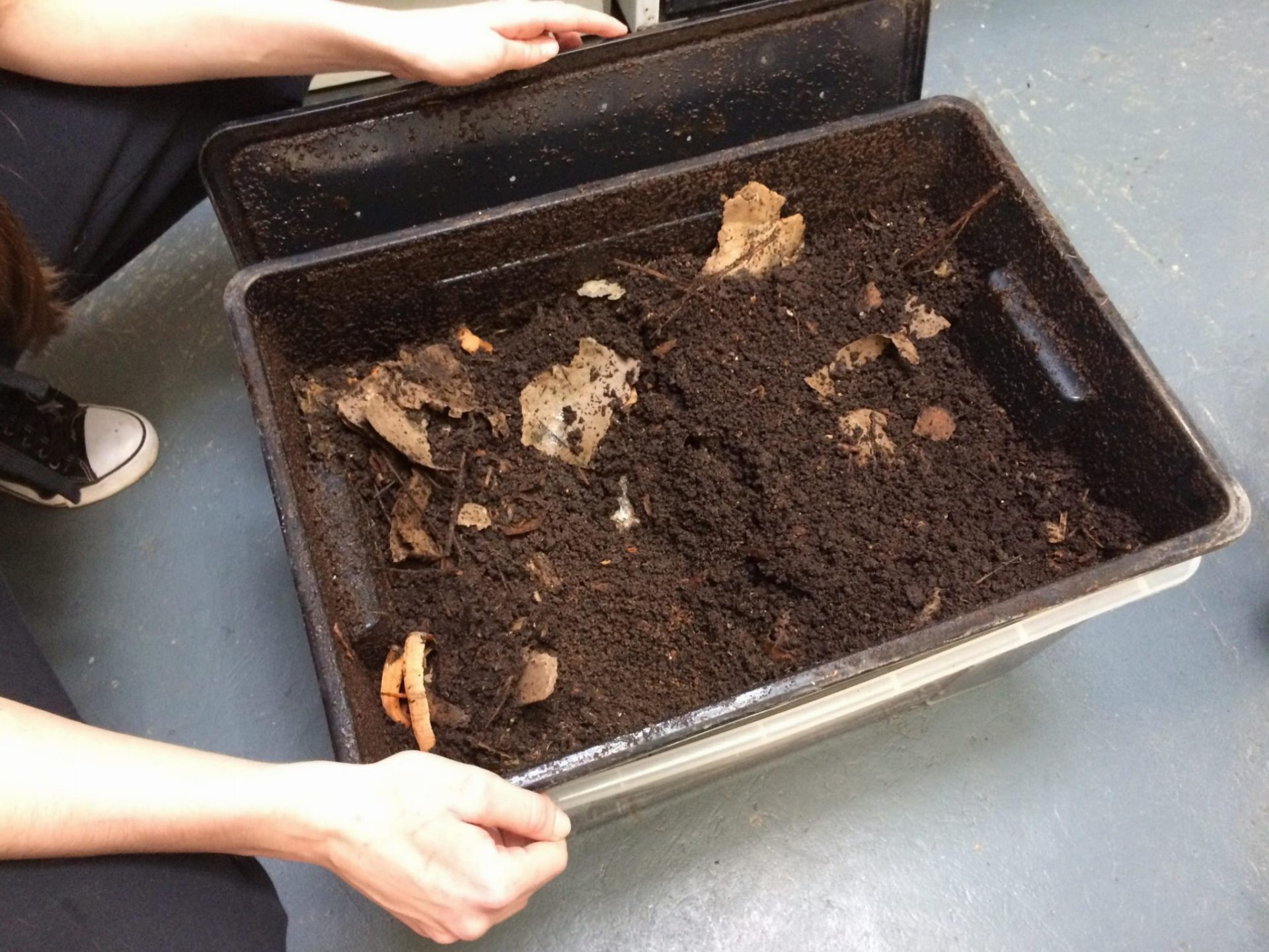 bioodpad_vermikomposter_kompost_zizaly