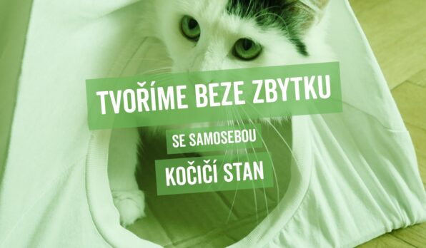 TBZ_kocici_stan_cover_desktop