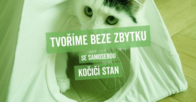 TBZ_kocici_stan_cover_desktop