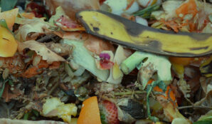 bioodpad_samosebou_trideni_jak_tridit