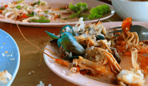 gastroodpad_samosebou_trideni_bioplyn_digestat