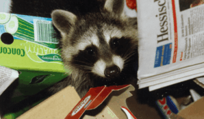 trideni_papiru_specificky_papirovy_odpad