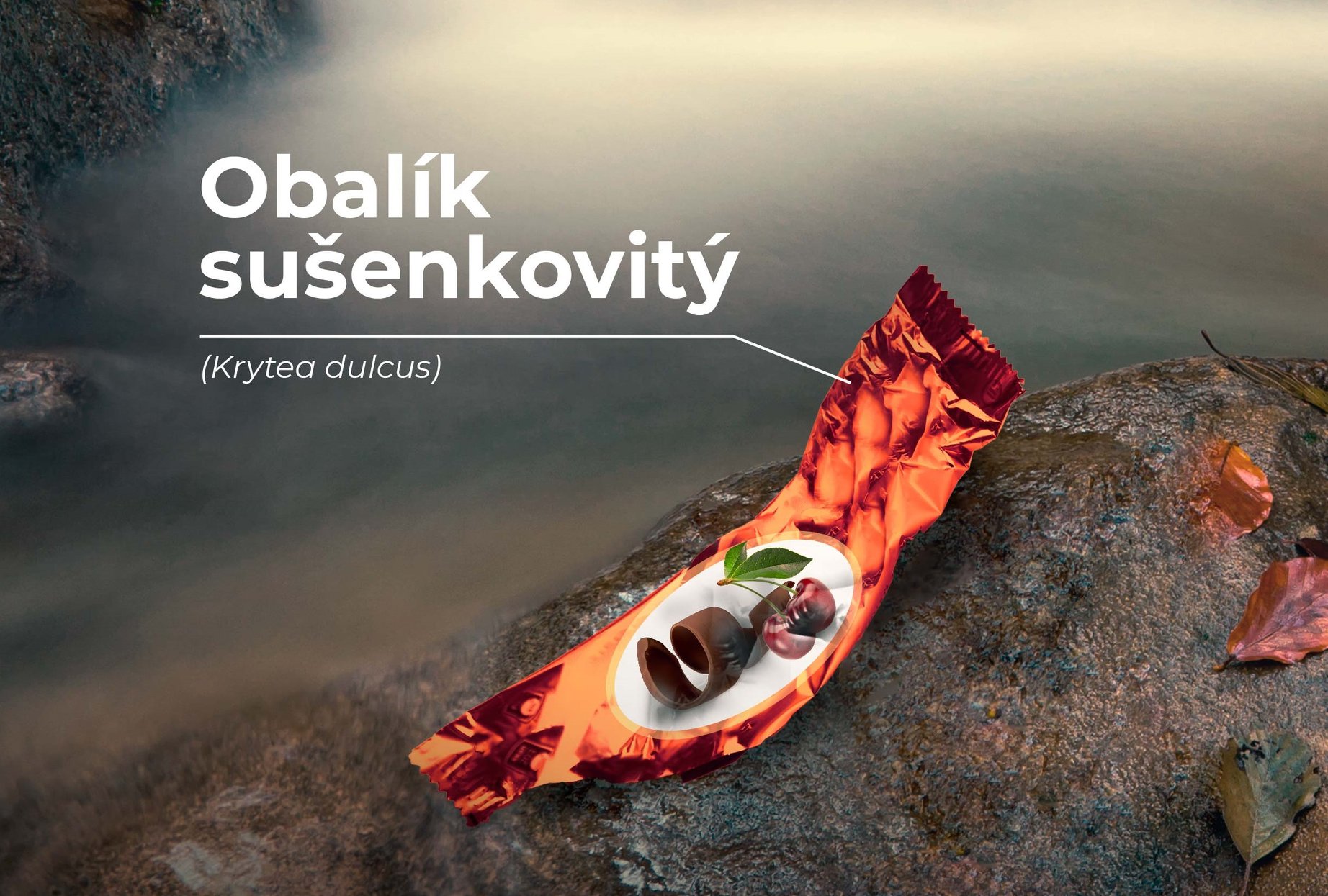 neni_zver_jak_zver_obal_susenka_priroda