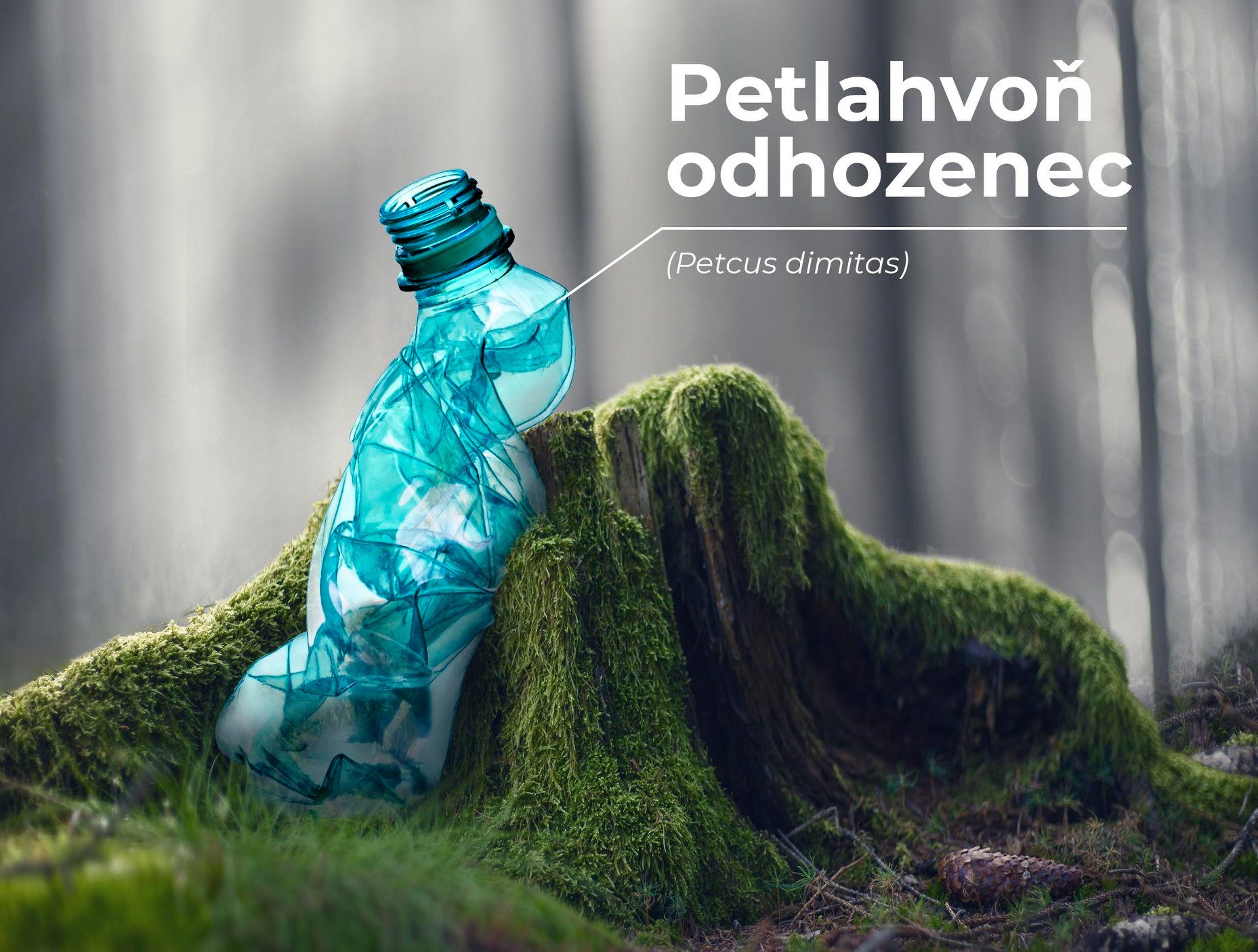neni_zver_jako_zver_petka_pet_lahev_plast_priroda