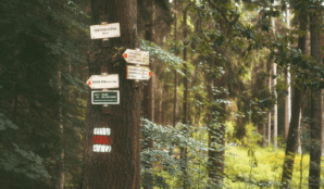 cistou_prirodou_havel_trasa_mapa_cesko_znacky