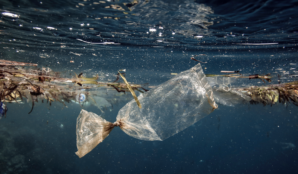 plastovy_sacek_ocean_makroplasty_mikroplasty