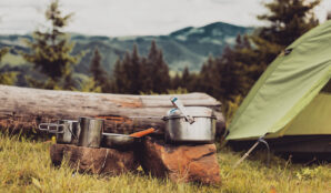 stan_hrnec_ohniste_priroda_klada