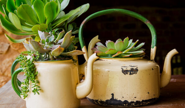 konvice_kvetinac_upcyklace_rostlina