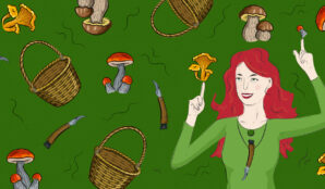 diva_houby_kosik_nuz