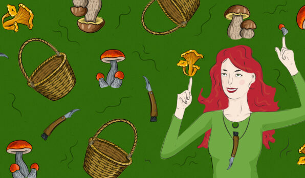 diva_houby_kosik_nuz