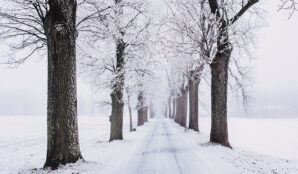 zima_stromy_cesta_snih_mraz_led_krajina