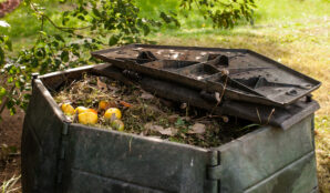 biodpad_kompost_rozklad