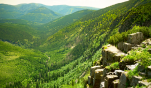 priroda_krnap_hory_udoli_les