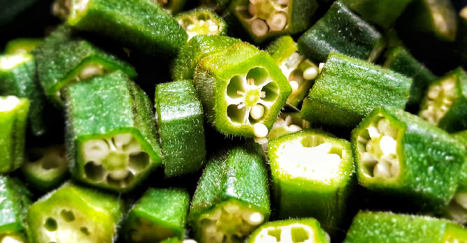 okra_novinka_boj_s_mikroplasty_eko_novinky_srpen