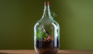 zahrada_v_lahvi_tvoreni_sklo_demizon_upcyklace