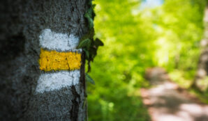 strom_turisticka_znacka_cesta_cistou_prirodou_tridime_v_prirode