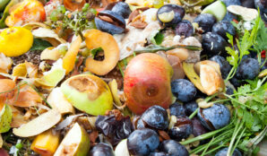 bioodpad_slupky_odrezky_svestky_jablka_zbytky