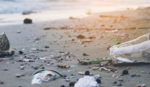 plastovy_kelime_na_plazi_znecisteni_oceanu