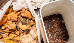 kompost_zizaly_hlina